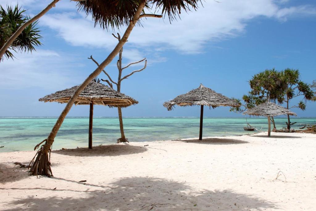 Nest Style Beach Hotel Zanzibar Makunduchi Esterno foto