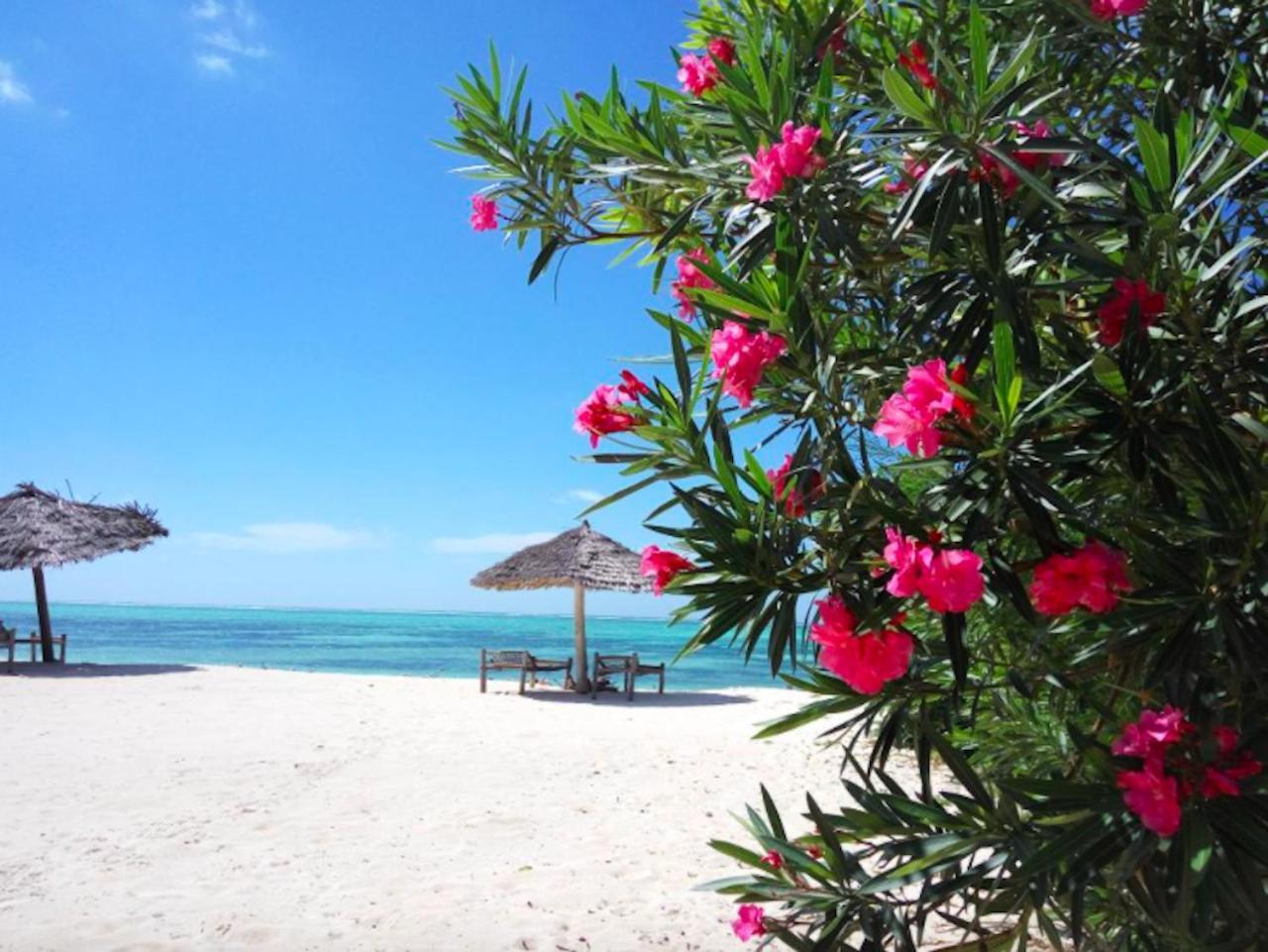 Nest Style Beach Hotel Zanzibar Makunduchi Esterno foto